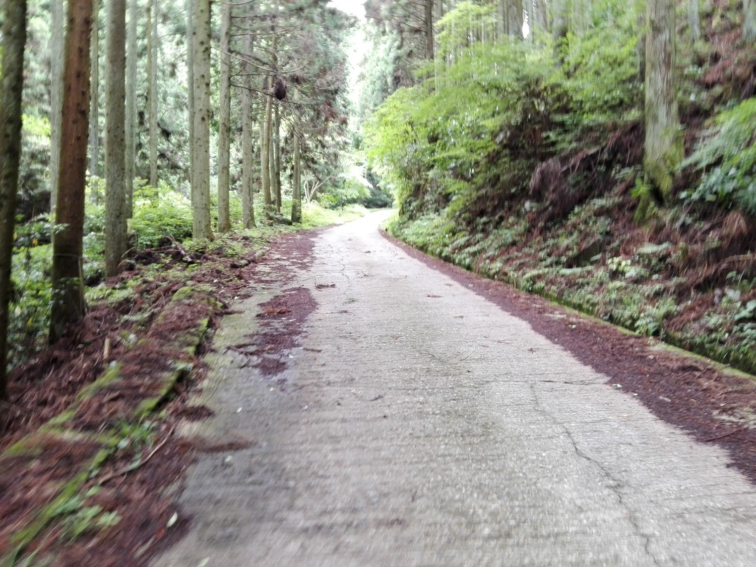 攻略前編】獲得標高4,675mの『七葛』。七方から葛城山を攻める